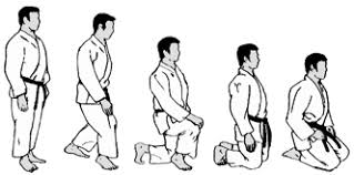 Other/Mixed - Can you comfortably sit in "seiza?" | The Forum