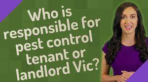 When ants, bees, wasps, cockroaches, fleas, bedbugs or vermin are present. Who Is Responsible For Pest Control Tenant Or Landlord Vic Youtube