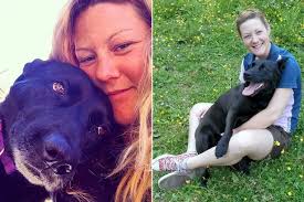 Dog owner cures howling pooch's severe separation anxiety