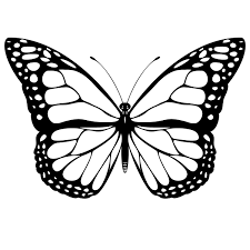 Click a category below to go to the printable pages. Butterfly Coloring Printable Novocom Top