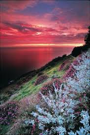 Please Wait Beautiful Landscapes Scenery Beautiful Nature