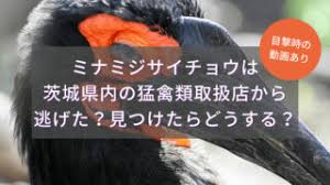 アイアイアイヘイチュー な な な な. 2qb8lijoje4dqm