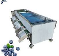 Blueberry Sorting Machine: High-Accuracy Fruit Grading
