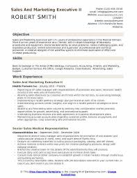 Sales And Marketing Executive Resume Samples Qwikresume