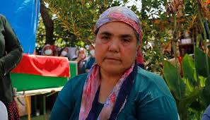 Marmaris'te çıkan orman yangınına gönüllü olarak yardım etti. Y5haqjp 0rzjum