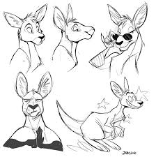 Kangaroo Doodles By Silverdeni Deviantart Com On Deviantart Kangaroo Art Kangaroo Drawing Kangaroo Illustration