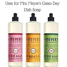 5 Uses For Mrs Meyers Clean Day Dish Soap Meyers Cleaning Products Cleaning Day Cleaning Dishes