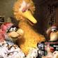 The Picture Show: Follow That Bird