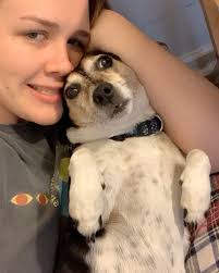 my sweet ellie girl, i’ll miss you forever and ever. thank you for growing  up with me, protecting me, loving me, making me laugh, and being my best  friend and #1 cuddle buddy for the last 14 years. ...