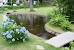 Backyard Fish Farming Tilapia