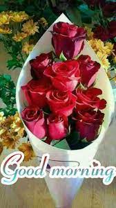 Good Morning Images Download Hd Feliz Domingo Buenos Dias Amor Buenas Tardes Hermosa