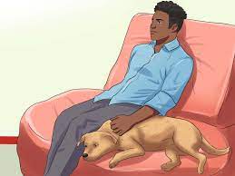 5 Ways To Care For Puggles Wikihow