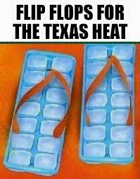 Pin By Sandy Martinez On Wild Weather City State Funnies New Memes Summer Humor Funny Pictures