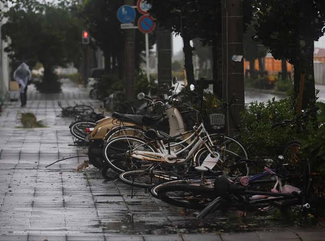 China Evacuates over 1 Million as Typhoon Bavi Nears - The Japan News