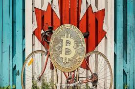 Yes, there are a lot of options, but there are also a lot of factors to consider when choosing which platform is right for you. Where Can Canadians Buy Bitcoin A Review Of The 4 Most Popular Crypto Exchanges