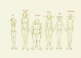 female body shape drawing at getdrawings com free for