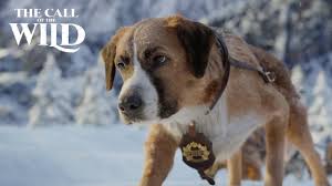The Call Of The Wild New Lead Dog Clip 20th Century Studios In 2020 Call Of The Wild Dog Leads 20th Century Studios