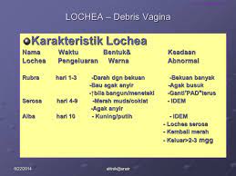 We did not find results for: Oleh Ni Ketut Alit Armini Fkp Unair Ppt Download
