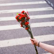 Cash on delivery and bank transfer available. Don T Buy Me Pity Flowers From The Dollar Store Song By 24hourmotel Spotify