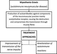 The basic principles of treatment are well known, however, patients continue to receive suboptimal treatment as a result of which a myasthenia. Myasthenia Gravis State Of The Art And New Therapeutic Strategies Sciencedirect