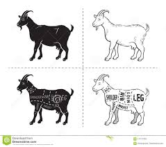 Vector Illustration Goat Cuts Diagram Or Chart Goat Black