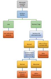 Image result for Microcytic Anemia