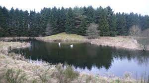 About glass fences available to the garden in the southern louisiana living water aeration pond fountains and aerator systems to. How To Manage A Farm Pond Without Breaking The Bank Iowa Agribusiness Network