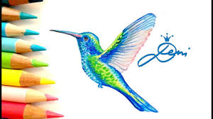 Kolibri Zeichnen Lernen Mit Buntstiften Tutorial How To Draw A Colibri Kak Se Risuva Kolibri Youtube