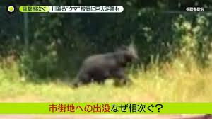 Yahoo!ニュース - News update