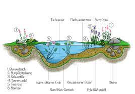 Stimmt es oder stimmt es nicht ? Biotop Arten Schutz Wie Sie Selber Kleine Grosse Biotope Herstellen
