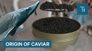 A sturgeon fish can live up to 60 years. Why Caviar Is So Expensive So Expensive Youtube