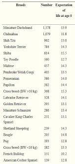 20 Shortest Lifespan Dog Breeds Based On Studies