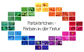 Farben In Der Natur Legekartchen Farben Kunstunterricht Kunstunterricht Basteln Farbkreis