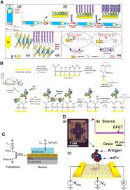 Instagram.com/eugen_anghel/ ►simba instagram florin cioroiacum 11 luni. Point Of Care Diagnostics For Infectious Diseases From Methods To Devices Abstract Europe Pmc