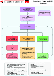 Contact advanced paediatric life support on messenger. Algorithm For Paediatric Advanced Life Support Reproduced With Kind Download Scientific Diagram