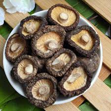 Check spelling or type a new query. China Cendawan Shiitake Pohon Oak Kering Berkualiti Tinggi Cendawan Shiitake Pohon Oak Kering Pada Bossgoo Com