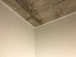 But in my experience, this caulk does not shrink and it does not crack. Caulk Shines On Newly Painted Walls