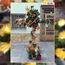 Flores y Plantas Elvi