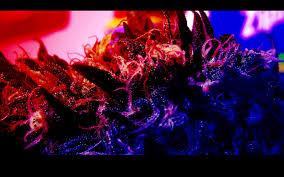 Beautiful artwork on black background. Pin On Weed