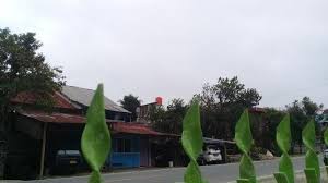 Lowongan pekerjaan gaji gold (day 654) (5 yıl önce). Mau Ke Toraja Yuk Cek Prakiraan Cuaca Hari Ini Tribun Timur