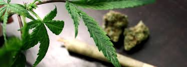 Discover the best way to vape weed using a herb vaporizer or a thc pen and some pro tips to help you along the way. Smoking Or Vaping Cannabis Could Cause Strokes Heart Attacks Marketwatch
