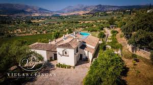 Oferta de profesionales y particulares desde 47.900 €. Weingut Zum Verkauf Malaga Villas Fincas