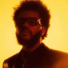 Dora Capobianco (@doracapobiancoo)