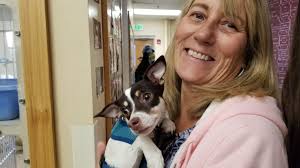 Summit County volunteers step up to help locals find their lost pets