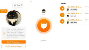 Meowtalk Kedilerin Miyavlamalarini Tercume Eden Uygulama Bbc News Turkce
