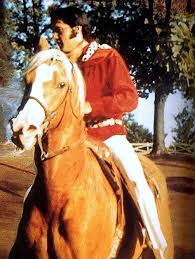 The Animals The House Of The Rising Sun Mafia Elvis Horseback Riding On Rising Sun Elvis Presley Graceland Graceland Elvis Elvis