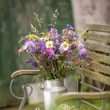 Mein Schones Land Saisonale Rezepte Gartentipps Kreativideen Idyllische Regionen Und Vieles Mehr Entdecken Sie Mit Uns Die Schonsten Seiten Des Landleben Blumenarrangements Einfach Schone Blumen Wildblumenwiese
