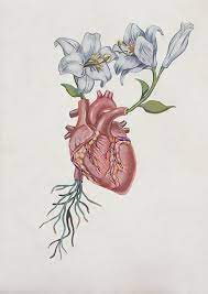 pin on anatomical art