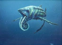 Helicoprion A Prehistoric Shark Prehistoric Creatures Prehistoric Prehistoric Animals