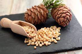 Learn All About Pine Nuts Their Harvest Cost Uses And More Pine Nuts Benefits Pine Nuts Tree Nut Allergy